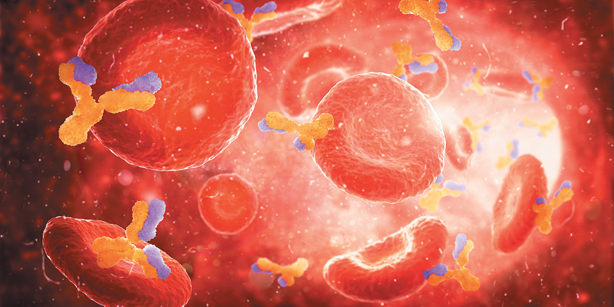 Qu’en est-il des inhibiteurs de points de contrôle immunitaire chez les octogénaires  ?