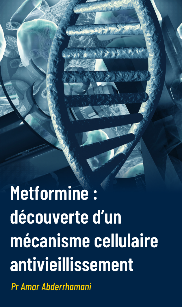 Un mécanisme cellulaire antivieillissement découvert grâce à la metformine